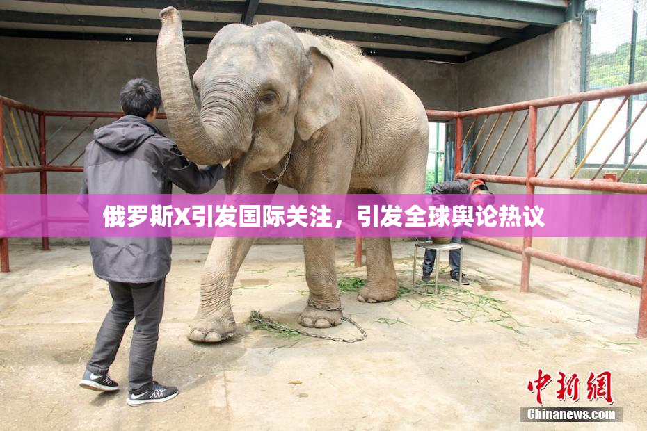 俄罗斯X引发国际关注，引发全球舆论热议