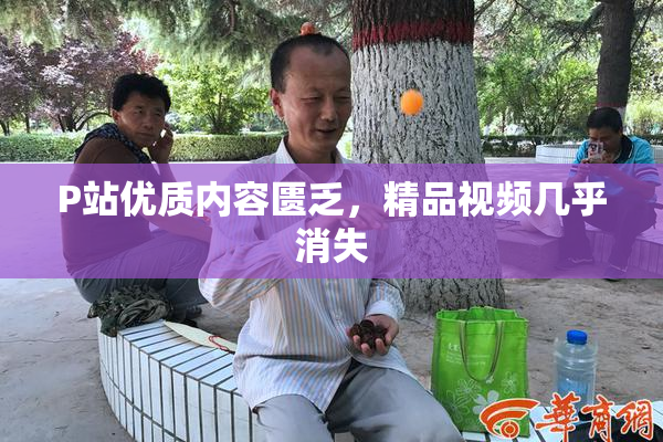 P站优质内容匮乏，精品视频几乎消失