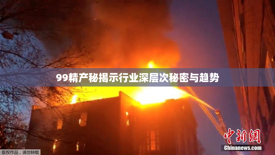 99精产秘揭示行业深层次秘密与趋势