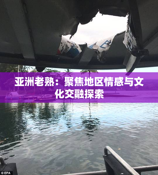 亚洲老熟：聚焦地区情感与文化交融探索