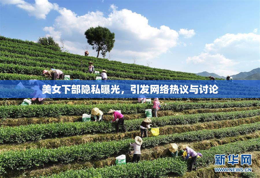 美女下部隐私曝光，引发网络热议与讨论