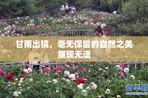 甘雨出镜，毫无保留的自然之美展现无遗