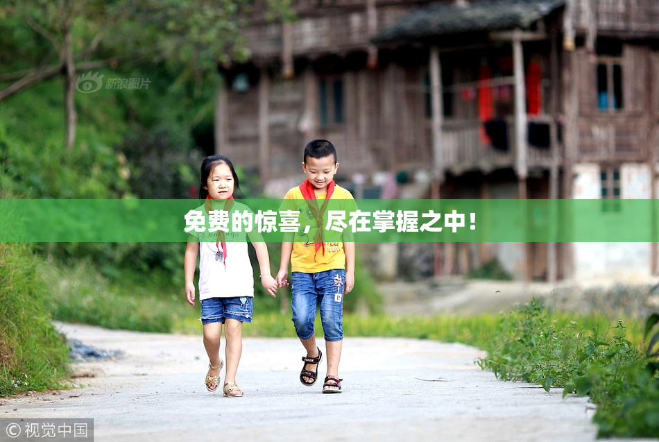 免费的惊喜，尽在掌握之中！