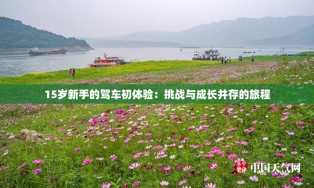 15岁新手的驾车初体验：挑战与成长并存的旅程