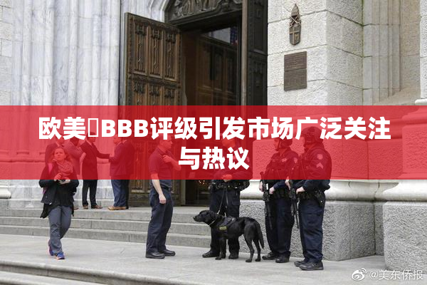 欧美槡BBB评级引发市场广泛关注与热议