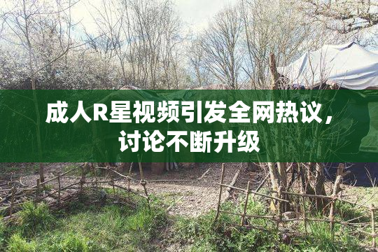 成人R星视频引发全网热议，讨论不断升级