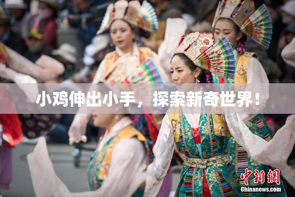 小鸡伸出小手，探索新奇世界！