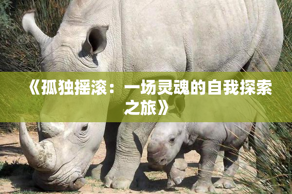 《孤独摇滚：一场灵魂的自我探索之旅》