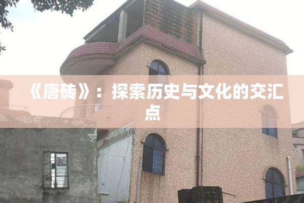 《唐砖》：探索历史与文化的交汇点