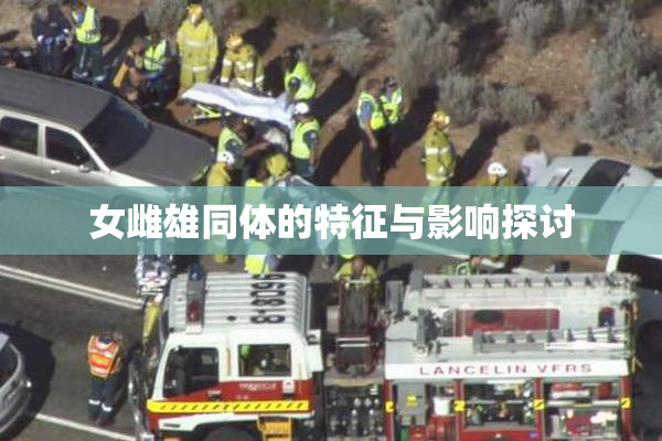 女雌雄同体的特征与影响探讨