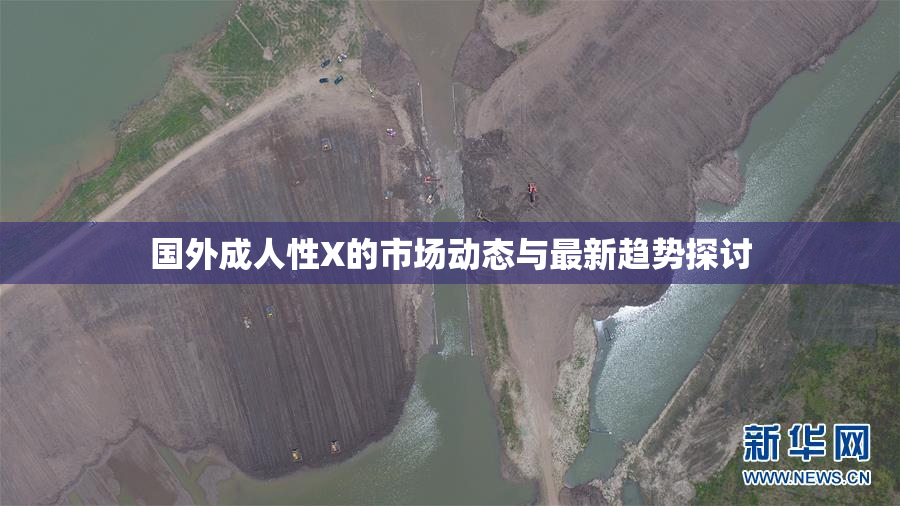 国外成人性X的市场动态与最新趋势探讨