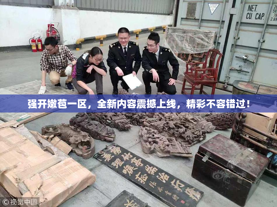 强开嫩苞一区，全新内容震撼上线，精彩不容错过！