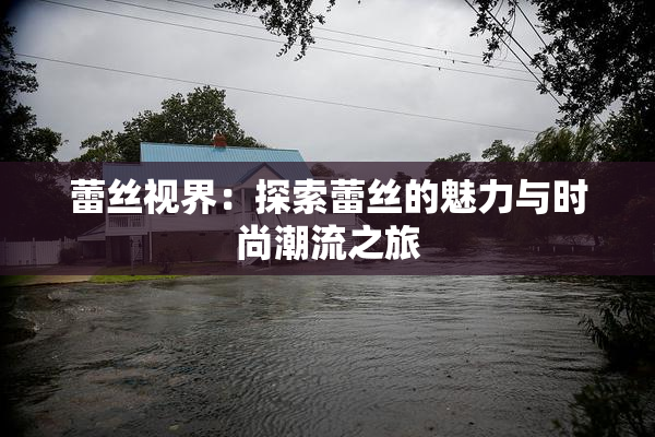 蕾丝视界：探索蕾丝的魅力与时尚潮流之旅
