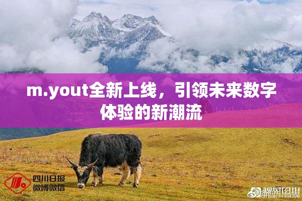 m.yout全新上线，引领未来数字体验的新潮流