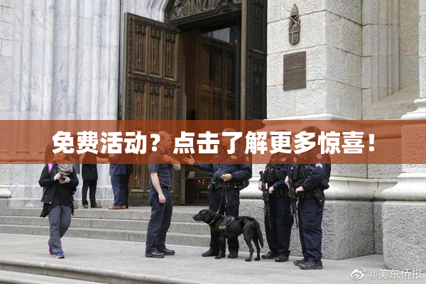 免费活动？点击了解更多惊喜！