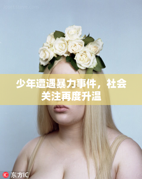 少年遭遇暴力事件，社会关注再度升温