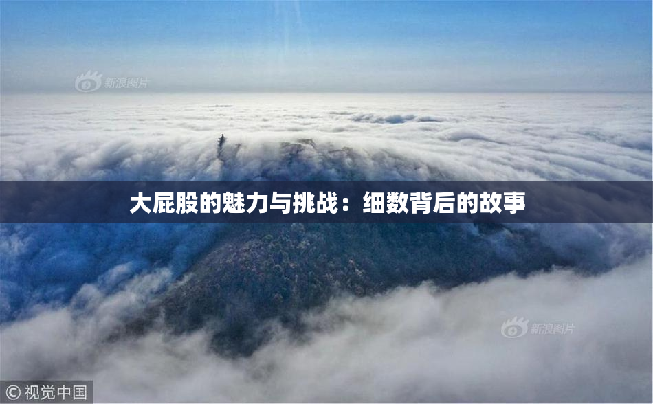 大屁股的魅力与挑战：细数背后的故事