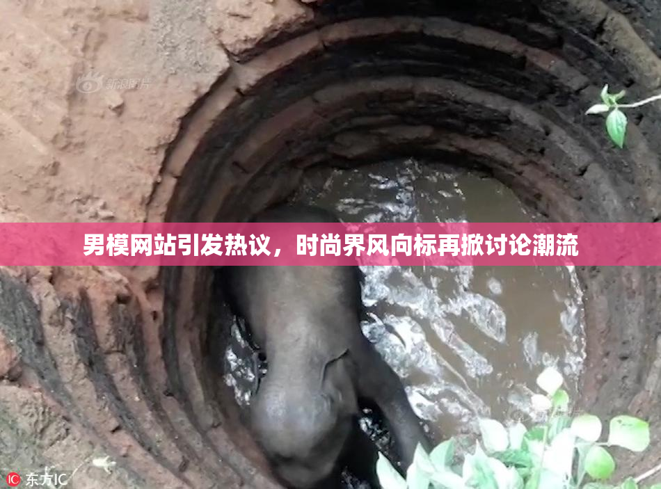 男模网站引发热议，时尚界风向标再掀讨论潮流