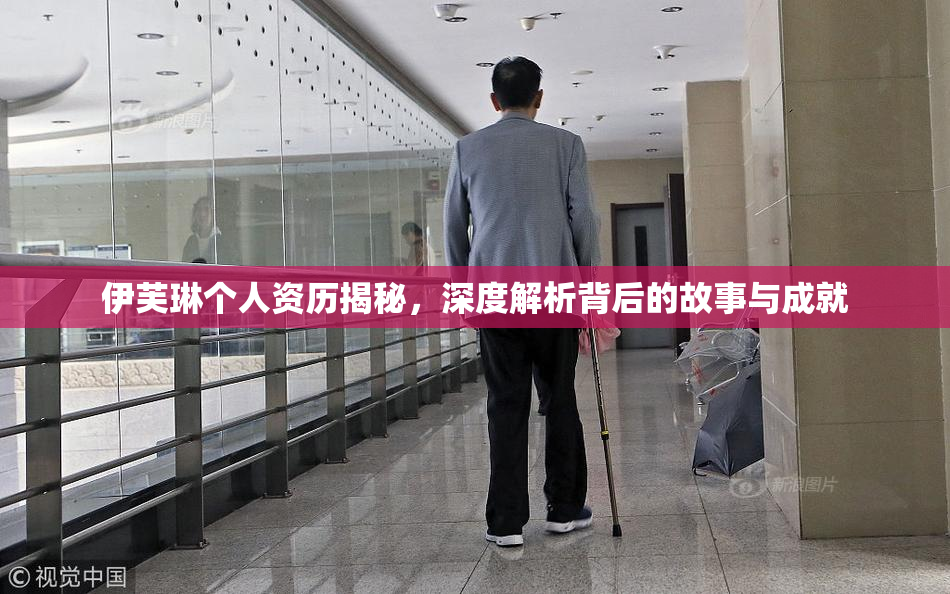 伊芙琳个人资历揭秘，深度解析背后的故事与成就