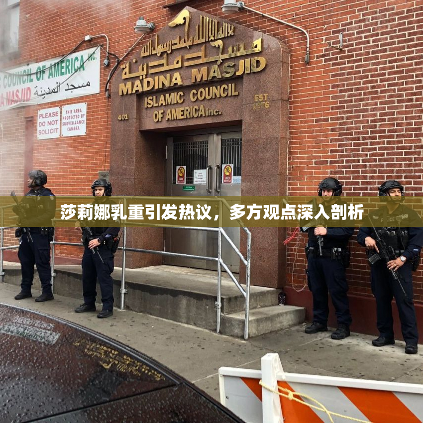 莎莉娜乳重引发热议，多方观点深入剖析