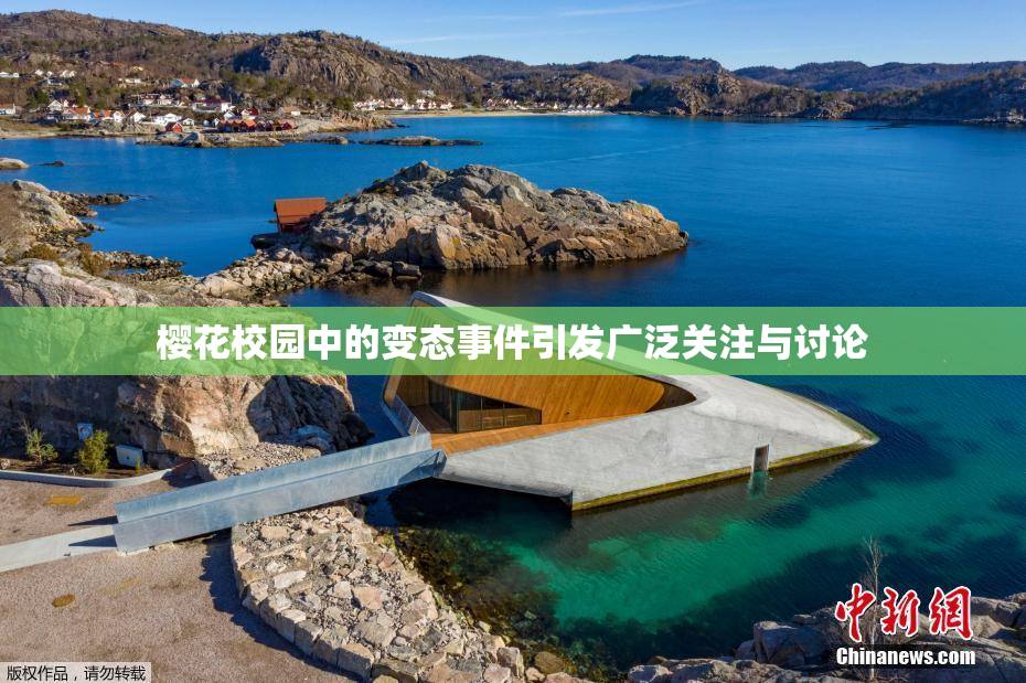 樱花校园中的变态事件引发广泛关注与讨论