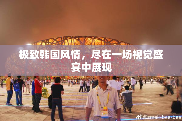极致韩国风情，尽在一场视觉盛宴中展现