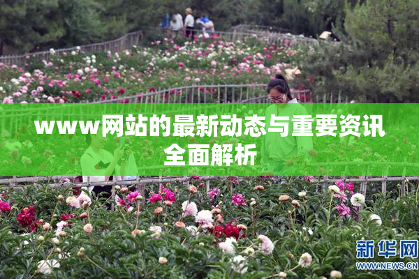 www网站的最新动态与重要资讯全面解析