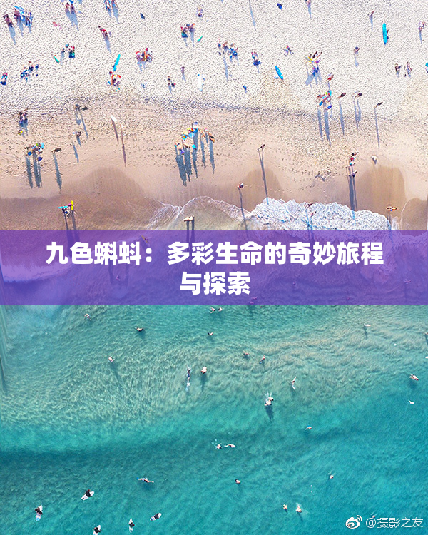 九色蝌蚪：多彩生命的奇妙旅程与探索