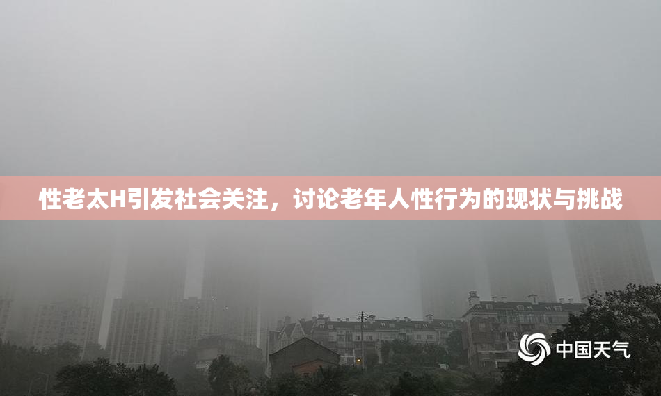 性老太H引发社会关注，讨论老年人性行为的现状与挑战