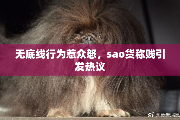 无底线行为惹众怒，sao货称贱引发热议