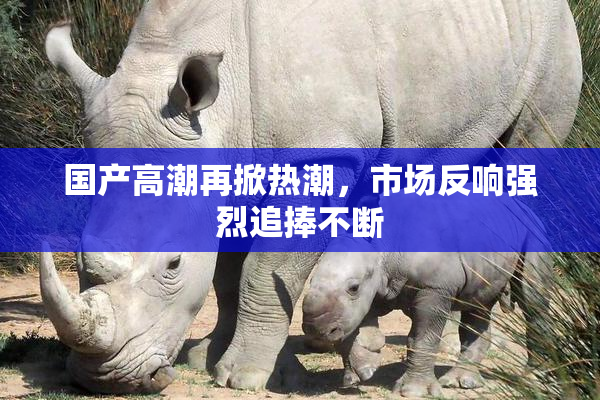 国产高潮再掀热潮，市场反响强烈追捧不断