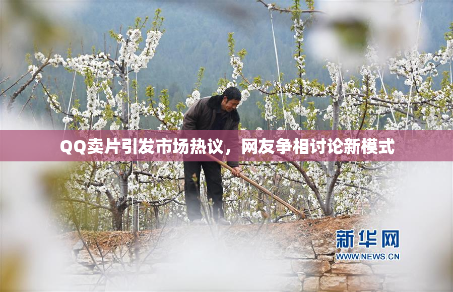QQ卖片引发市场热议，网友争相讨论新模式