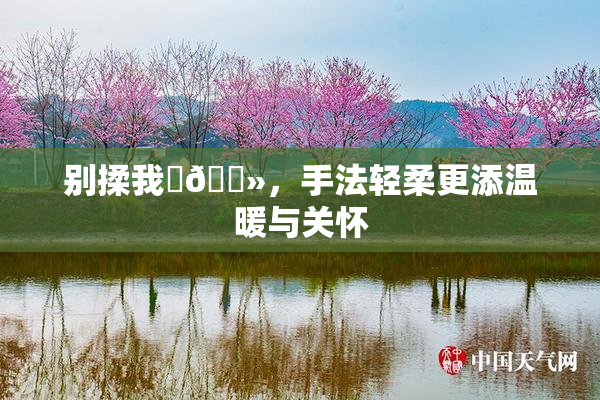 别揉我‌🐻，手法轻柔更添温暖与关怀