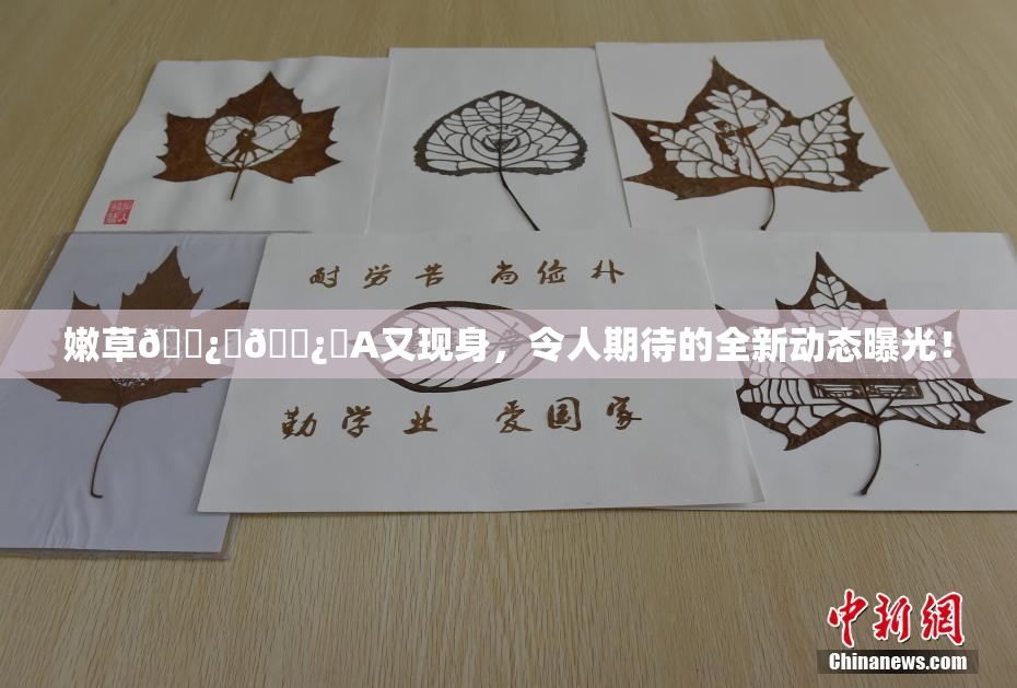 嫩草🌿‌🌿‌A又现身，令人期待的全新动态曝光！