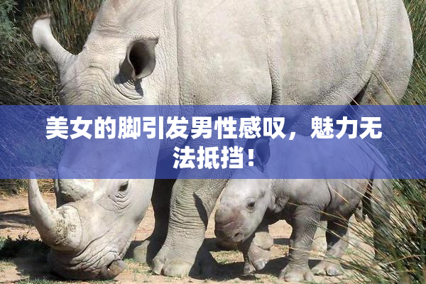 美女的脚引发男性感叹，魅力无法抵挡！