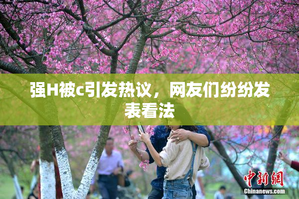 强H被c引发热议，网友们纷纷发表看法
