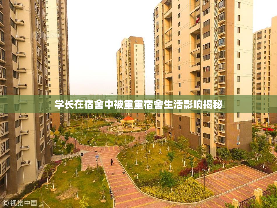 学长在宿舍中被重重宿舍生活影响揭秘