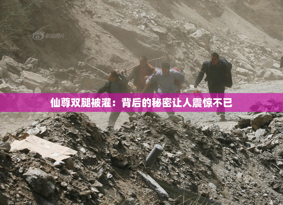 仙尊双腿被灌：背后的秘密让人震惊不已