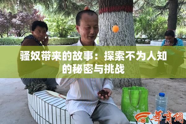 骚奴带来的故事：探索不为人知的秘密与挑战