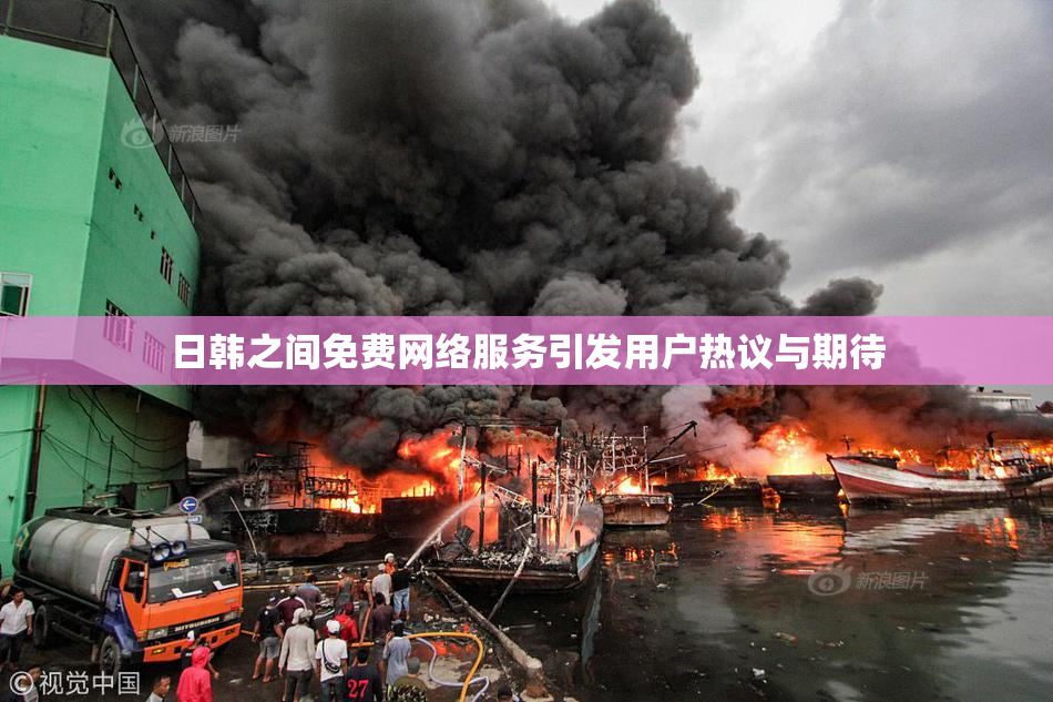 日韩之间免费网络服务引发用户热议与期待