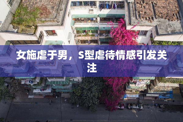 女施虐于男，S型虐待情感引发关注
