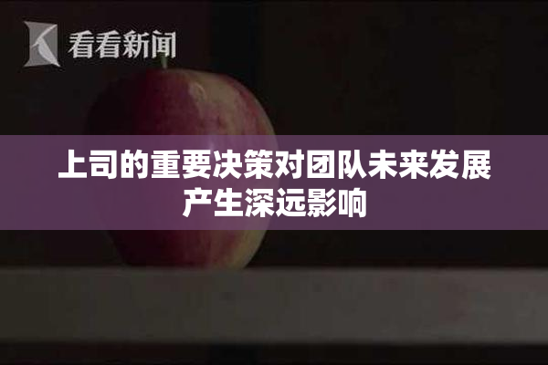 上司的重要决策对团队未来发展产生深远影响