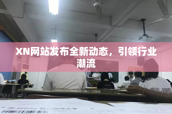 XN网站发布全新动态，引领行业潮流