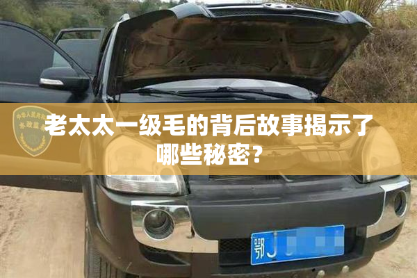 老太太一级毛的背后故事揭示了哪些秘密？