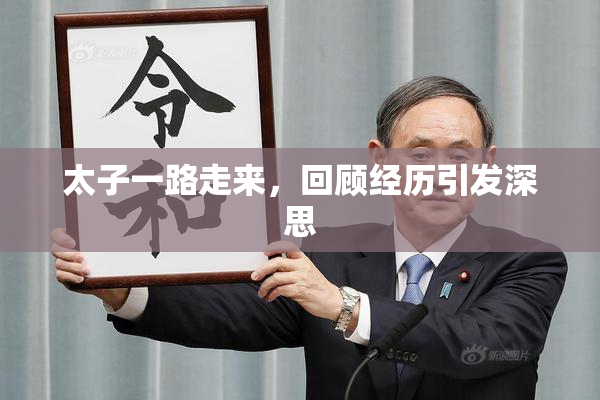 太子一路走来，回顾经历引发深思