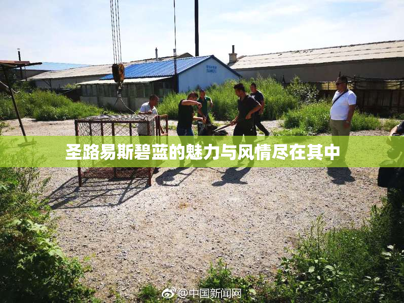 圣路易斯碧蓝的魅力与风情尽在其中