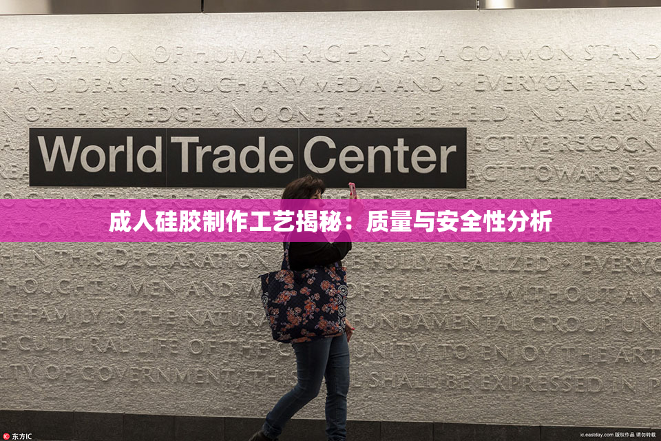 成人硅胶制作工艺揭秘：质量与安全性分析