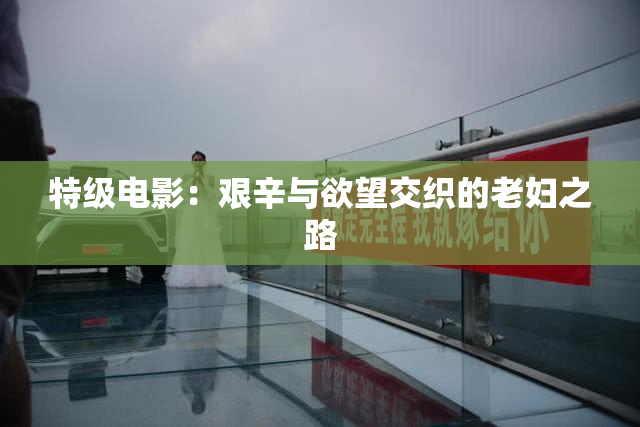 特级电影：艰辛与欲望交织的老妇之路