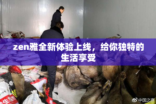 zen雅全新体验上线，给你独特的生活享受