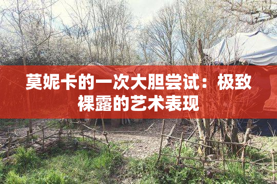 莫妮卡的一次大胆尝试：极致裸露的艺术表现